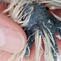 20180701_181249.jpg
