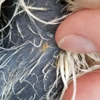 20180701_183010.jpg