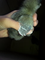 20180630_124947.jpg