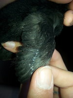20180630_125116.jpg