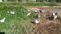 20180701_080126.jpg