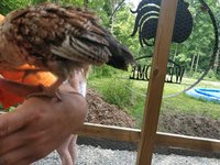 IMG_20180701_150050.jpg