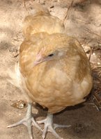 DSC01027.JPG