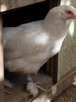 20180702_085202.jpg
