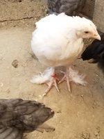 20180702_085405.jpg