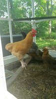 20180702_104720.jpg