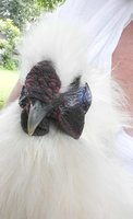2018-07-02_15.54.46.jpg 2018-07-02_15.54.46.jpg