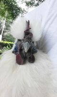 2018-07-02_15.50.36.jpg 2018-07-02_15.50.36.jpg
