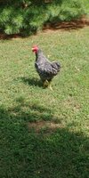 20180702_152843.jpg