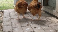 20180617_155112.jpg