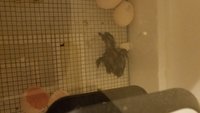 20180702_232620.jpg