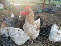 20180703_075311.jpg 20180703_075311.jpg