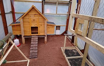 Our first ever attempt at a coop and run.