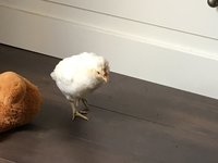 0AB38D00-C76A-43C4-AB65-B78AF1B68801.jpeg