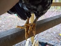 WP_20161018_17_55_49_Pro_LI.jpg WP_20161018_17_55_49_Pro_LI.jpg
