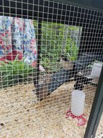 20180702_100435.jpg