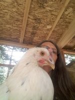thumbnail_Peepers5.jpg