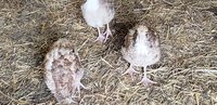 20180703_162639.jpg