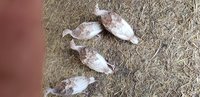 20180703_162649.jpg