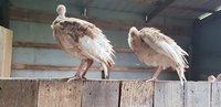 20180703_162519.jpg