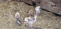 20180703_162624.jpg