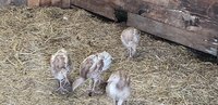 20180703_162626.jpg