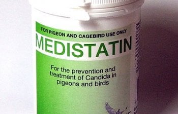 Treating Candida (yeast) with Medistatin (Nystatin) - under construction