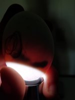 20180703_082354.jpg