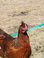 20180704_095902.jpg 20180704_095902.jpg