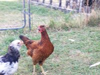 20180704_095916.jpg 20180704_095916.jpg