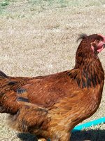 20180704_095901.jpg 20180704_095901.jpg