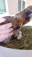 20180704_093247.jpg
