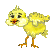 chickdars.gif