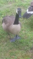 20180704_132831.jpg