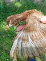 20180704_125354.jpg