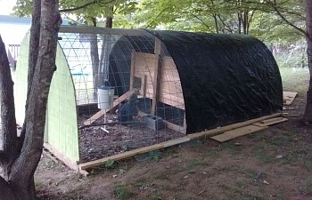 My Cattle Panel Hoop Coop