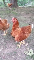 20160730_134740.jpg