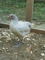 20180705_101630.jpg