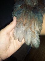 20180705_113407_Film3.jpg