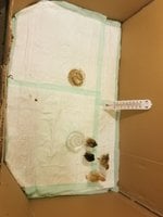 20180703_145118.jpg