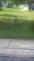 20180705_155540.jpg