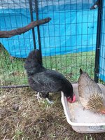 20180531_093749.jpg