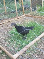 20180705_185841.jpg 20180705_185841.jpg
