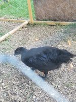 20180705_185805.jpg 20180705_185805.jpg
