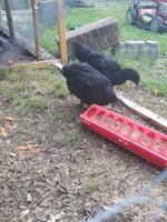20180705_190019.jpg 20180705_190019.jpg