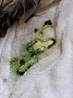 20180706_103932.jpg