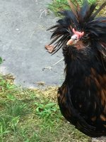 C34C9988-9E41-499C-BFD7-8F6630426DB1.jpeg