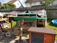 20180706_172747.jpg