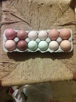 Eggs.jpg