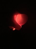 IMG_6610.JPG